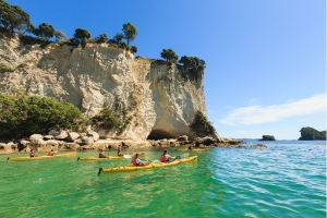 A group of people kayak in a bay