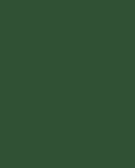 A block of colour, dark green